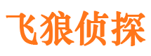 平安出轨调查